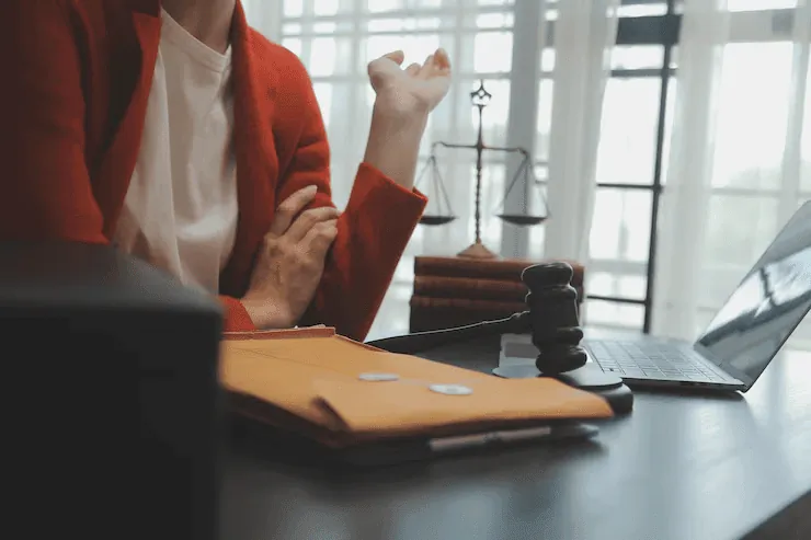 Lawyer consultation