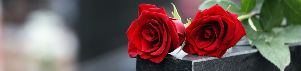 Two red roses lie on a polished, dark stone surface with green leaves visible on the right side.